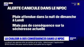 33°C à Lens, 32°C à Lille: les conséquences de la chaleur dans le Nord-Pas-de-Calais