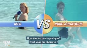 Pour vous baigner, vous préférez la mer ou un parc aquatique ?