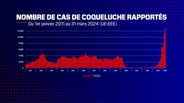 The evolution of whooping cough cases in Europe until April 2024 according to the European Center for Disease Prevention and Control (ECDC).