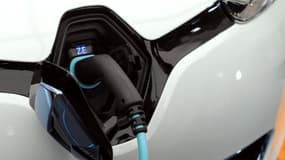 Recharche par le nez de la Renault Zoé épinglée avec la voiture électrique de Bolloré comme "pas écologique".