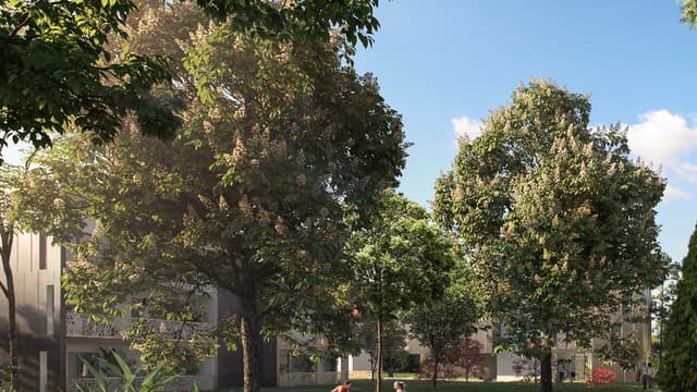Le Chant des Arbres : un nouveau projet immobilier d'exception à Tassin-la-Demi-Lune