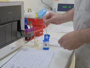 Tests Covid-19: à quoi servent les réactifs et pourquoi on en manque ?