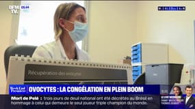 Des plus en plus de femmes ont recours à la congélation des ovocytes 