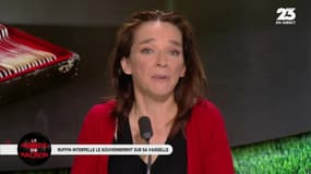 Vaisselle de l’Élysée : "Ruffin ne veut pas non plus que Macron habite dans un camping et reçoive ses invités avec des assiettes en plastique !?"