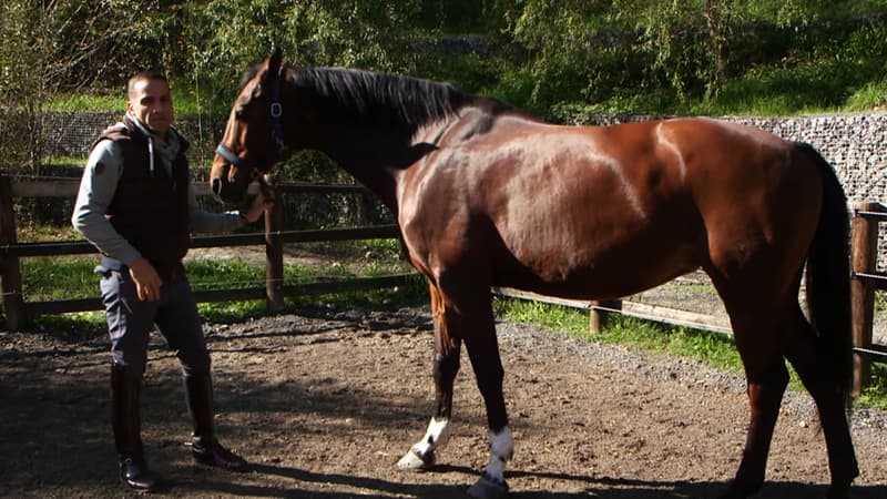 Tempête Alex: le cavalier olympique Alexandre Ayache obligé de vendre ses chevaux pour financer des travaux