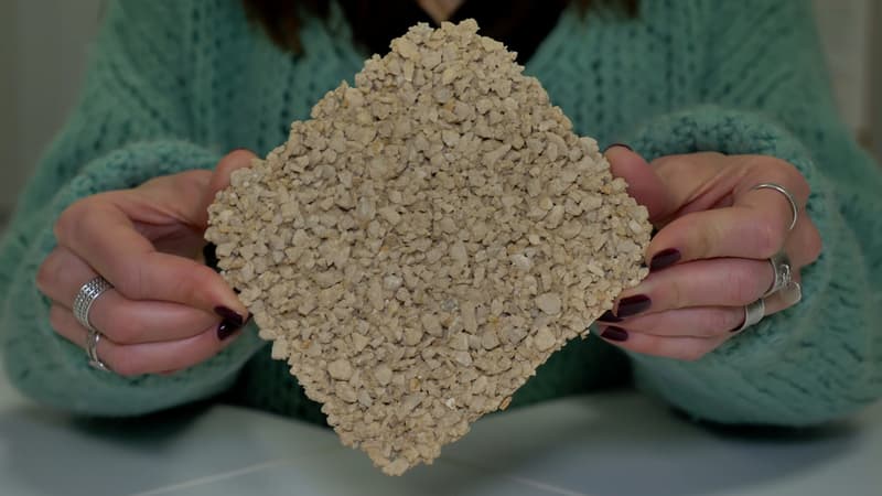 JDM Expert, des revêtements spécifiques et perméables, pour irriguer les sols