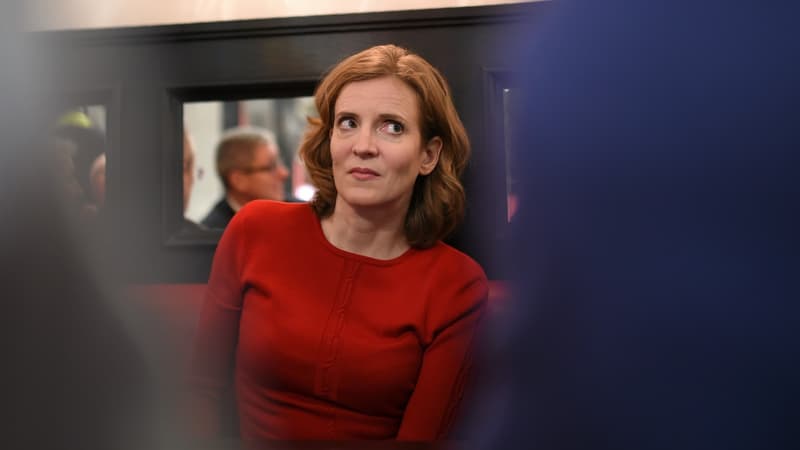 Nathalie Kosciuscko-Morizet s'estime victime de "tirs croisés" d'En Marche et de la droite pour sa campagne aux législatives.