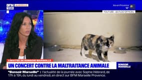 Marseille: un grand loto en faveur de la cause animale