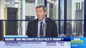 K. Harris, VRP des valeurs vertes en bourse ? - 05/11