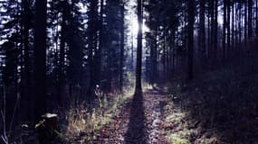 Près de Toulouse, une jeune femme avait été retrouvée ligotée dans un bois