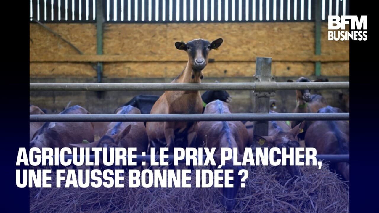 Agriculture Le Prix Plancher Une Fausse Bonne Id E