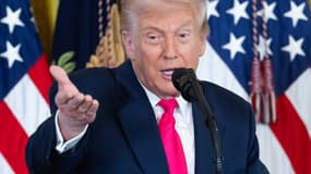 Le président américain Donald Trump à la Maison Blanche, le 13 novembre 2025 à Washington DC (photo d'illustration).