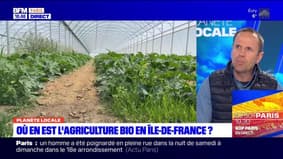Planète Locale du lundi 26 février - Où en est l'agriculture bio en Île-de-France ? 