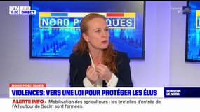 Nord: les détails de la proposition de loi de la députée Violette Spillebout pour protéger les élus