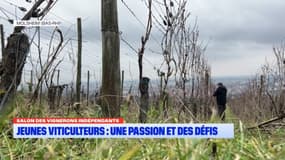 Alsace: des soins gratuits et à domicile pour les malades du cancer