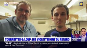 Tourrettes-sur-Loup: les violettes ont du retard