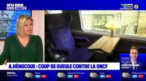 Handicap: le coup de gueule d'Audrey Hénocque contre la SNCF