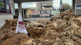 Une cinquantaine d'agriculteurs bloque l'entrée du CADAM à Nice (Alpes-Maritimes) ce jeudi 28 novembre 2024, depuis 6 heures ce matin.
