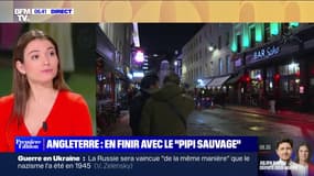 Le choix de Marie - L'Angleterre en guerre contre le "pipi sauvage"