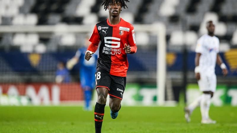 Eduardo Camavinga - Rennes