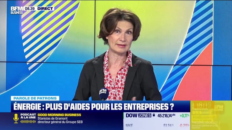 Les patrons ont la parole : Dominique Carlac'h - 31/03