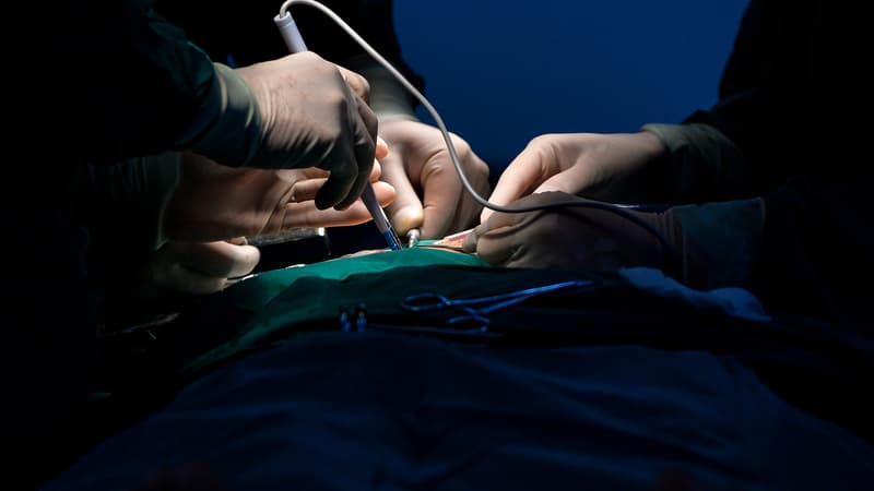 Photo d'illustration. 