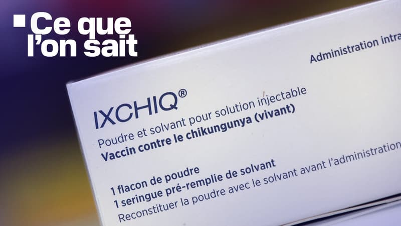 Emballage du vaccin IXCHIQ contre le chikungunya, dans une pharmacie de Saint-Denis de la Réunion le 21 mars 2025