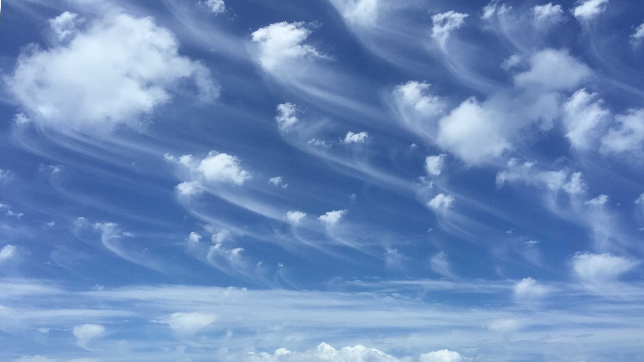 Des altocumulus floccus. Des altocumulus floccus.