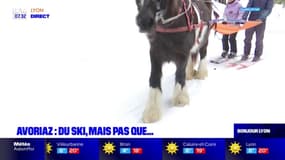 Avoriaz: du ski mais pas que...