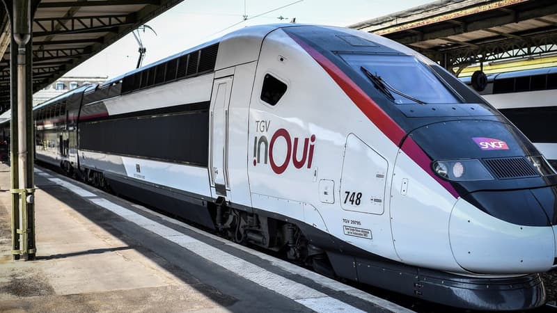 Le TGV effectuait la liaison Paris-Nice.
