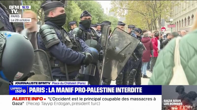 Manifestation pro-Palestine à Paris interdite: 80 verbalisations d'après la préfecture de police de Paris