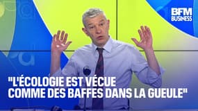  "L'écologie est vécue comme des baffes dans la gueule" 
