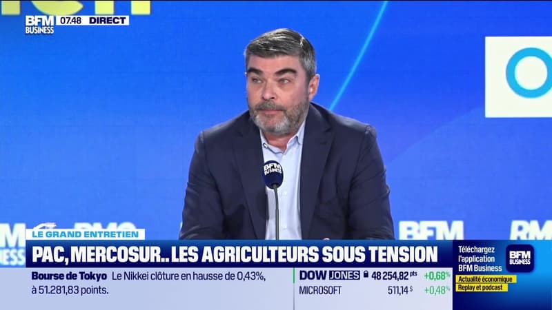 Le Grand entretien : Tereos face à la chute du cours du sucre -13/11