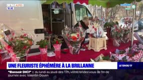 Alpes-de-Haute-Provence: une fleuriste éphémère à La Brillanne