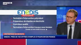 L'entreprise qui recrute: Les ambitions d'Enedis en matière de transition énergétique - 19/12