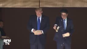 Ce moment où Trump perd patience avec des carpes japonaises 