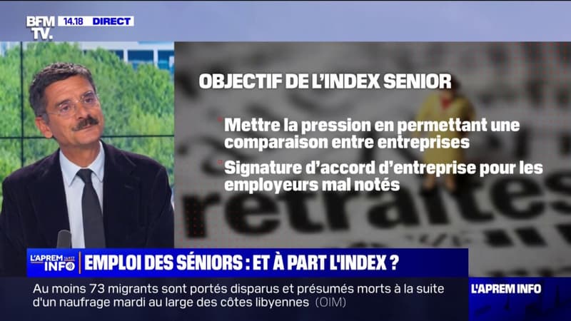 Que prévoit l'index sur l'emploi des séniors, rejeté par l'Assemblée nationale en première lecture?