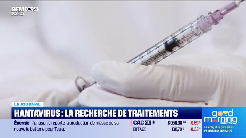 Hantavirus : la recherche de traitements