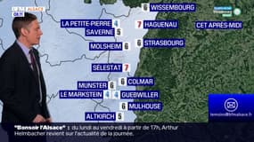Météo Alsace: nuages et soleil se partagent le ciel alsacien, 6°C à Colmar et à Strasbourg