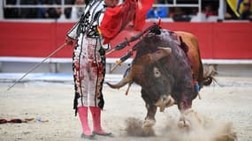 Un spectacle de tauromachie au Riz. Photo d'illustration.