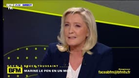 Marine Le Pen: "Je n'ai pas de sentiment négatif à l'égard des étrangers, je n'ai aucune haine, aucune peur"