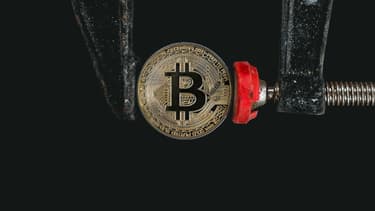 Ce mardi 20 novembre, le Bitcoin ne dépassait pas les 4 600 dollars l'unité.
