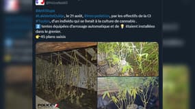 Une exploitation de cannabis a été démantelée le 21 août 2024 à La Valette-du-Var.