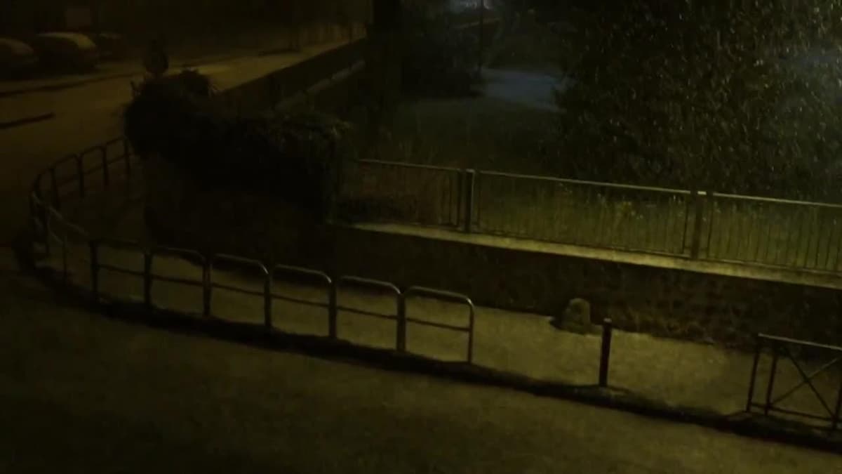 placeholder video