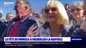 La fête du mimosa de retour à Mandelieu-la-Napoule 