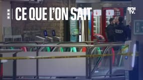 Une attaque au couteau a fait trois blessés samedi 3 janvier 2024 à la gare de Lyon.
