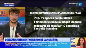 Le débroussaillement obligatoire dans le Var pour les propriétaires