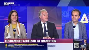 BFM Stratégie (Cours n°313): les banques alliées de la transition - 08/02