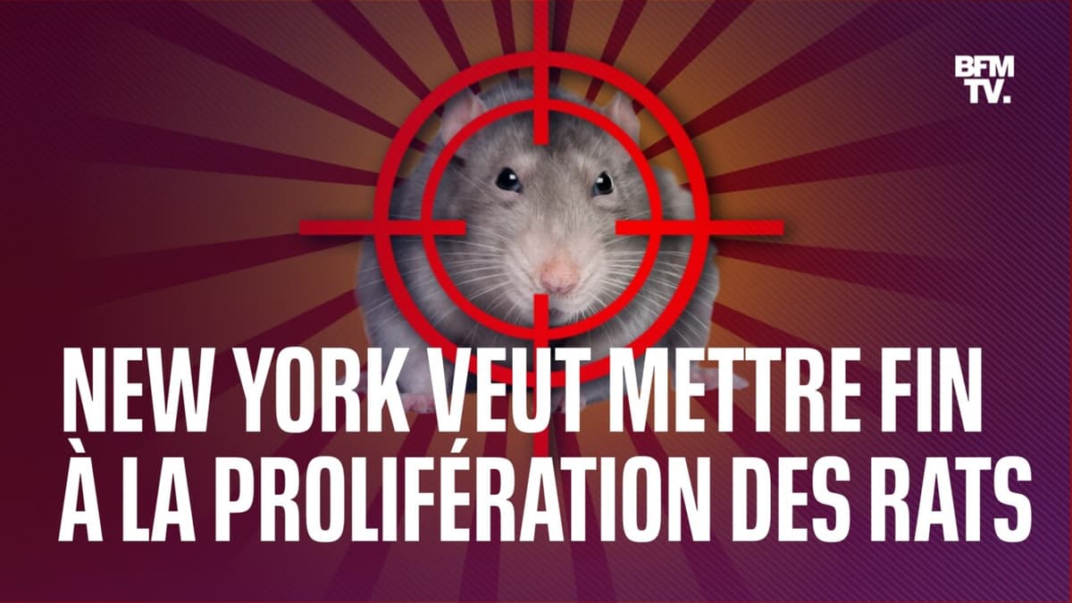 placeholder video