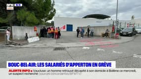 Bouches-du-Rhône: les salariés d'Apperton à Bouc-Bel-Air en grève 